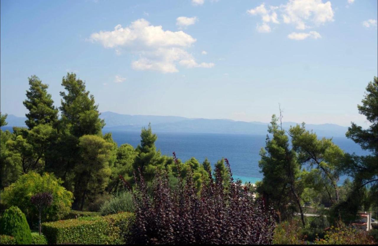 Amazing Villa With Views Sea In פאליאורי מראה חיצוני תמונה