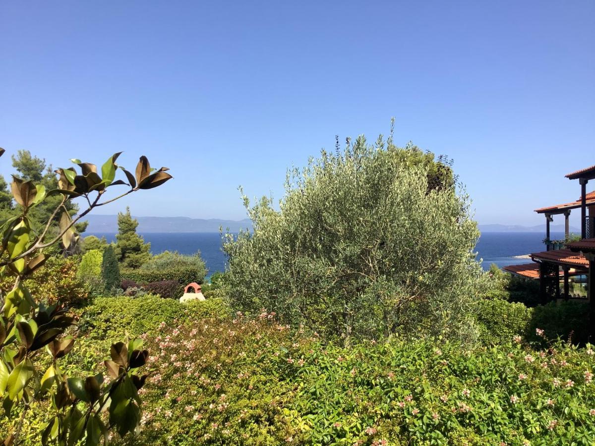 Amazing Villa With Views Sea In פאליאורי מראה חיצוני תמונה
