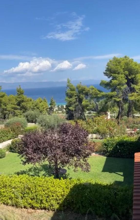 Amazing Villa With Views Sea In פאליאורי מראה חיצוני תמונה