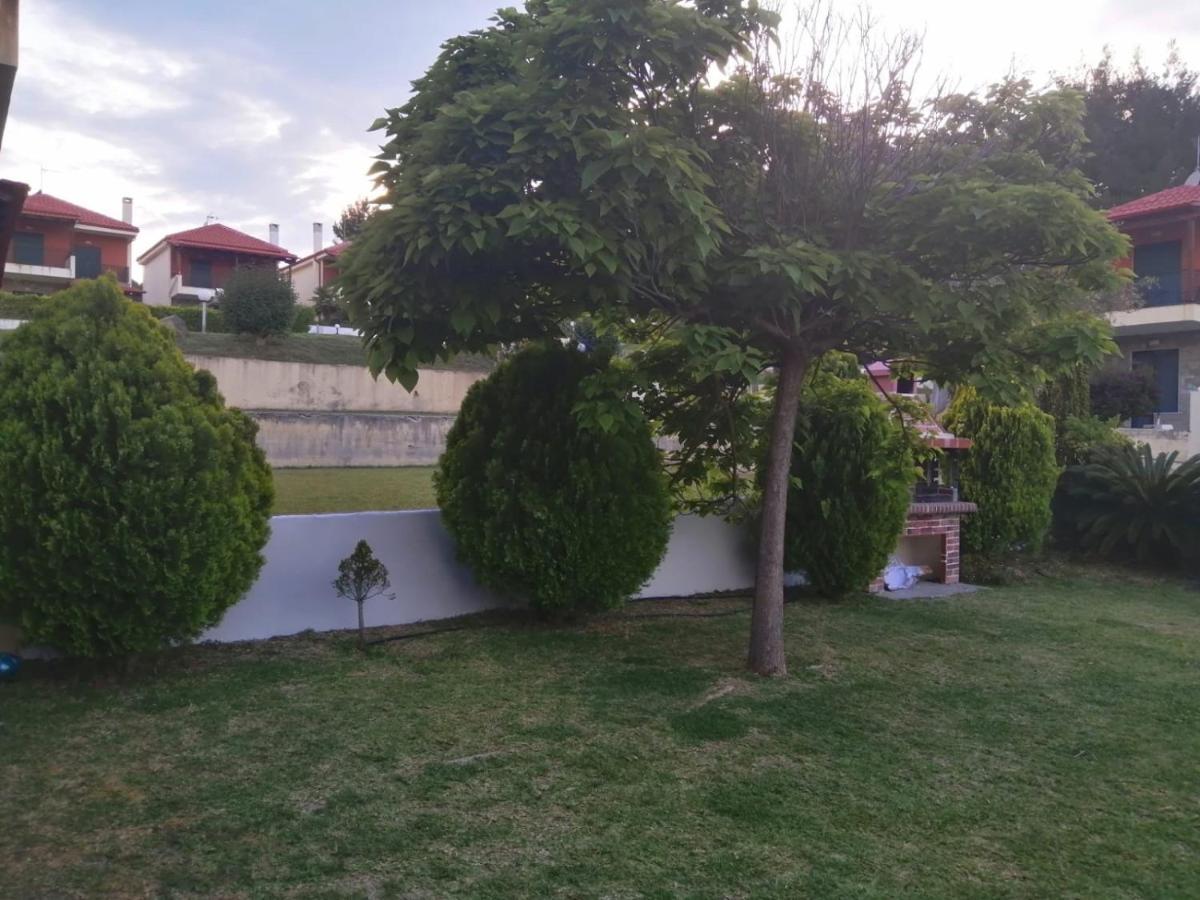 Amazing Villa With Views Sea In פאליאורי מראה חיצוני תמונה